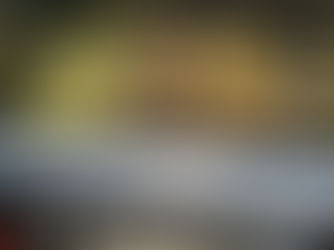 Grilled pineapple and kabobs served by Tommy’s Catering