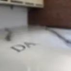 allegheny city brewing co