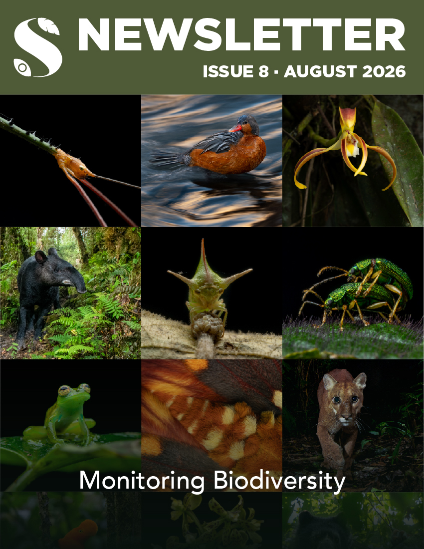 AugustCover.jpg