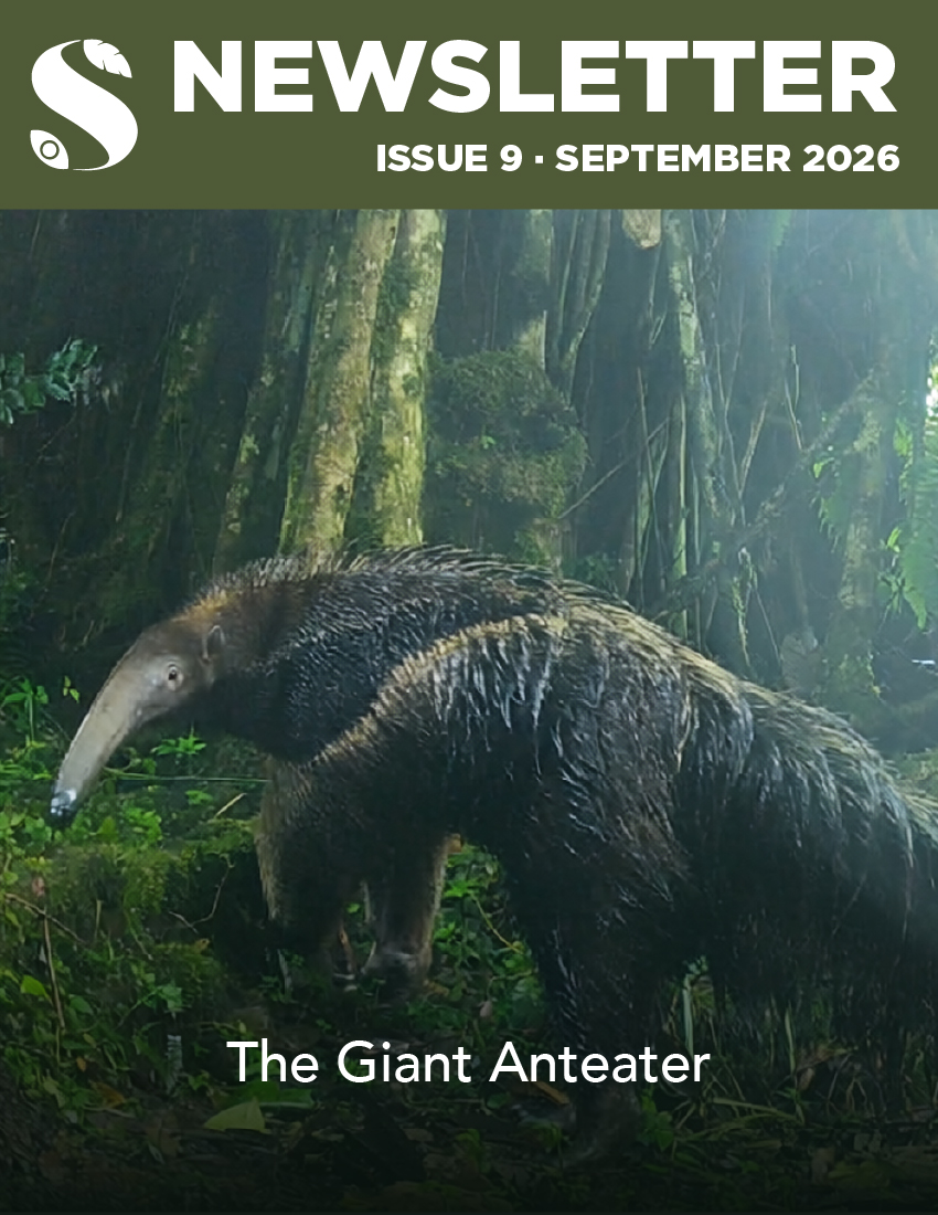 SeptemberCover.jpg