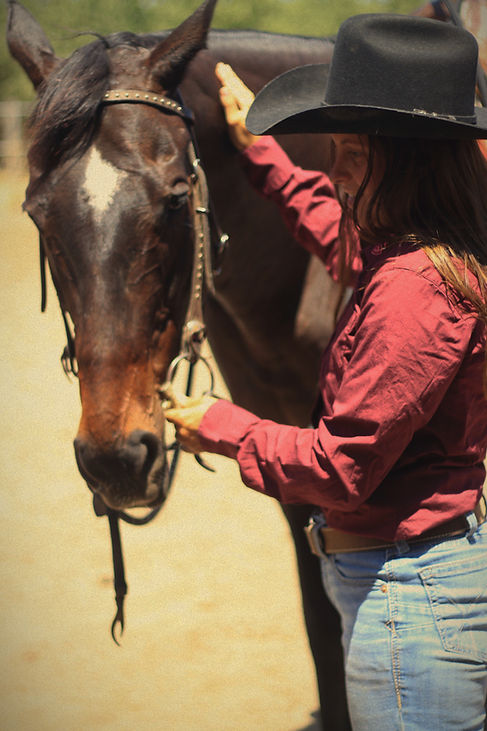 horsetrainer