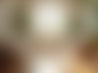 A Guide to Holistic Care Services