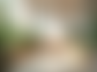 Meet Edna Schur: Corporate Wellness Expert and Pioneer in Wellness