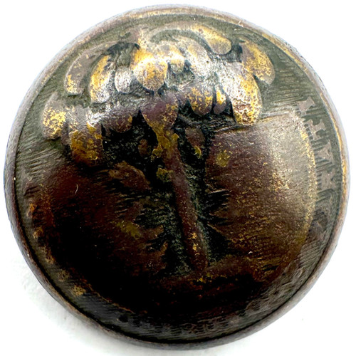 Carolean Button SC13A3 | South Carolina Uniform Button | CivilWarButtons.com