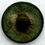Thumbnail: CS 184 | Confederate Cast Infantry Coat Button