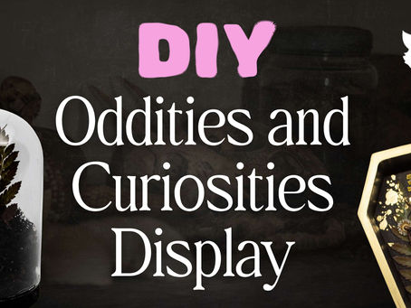 Create your own DIY oddities and curiosities display!