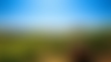 Découvrez les domaines viticoles d'Aix en Provence