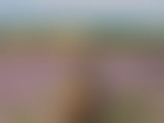 Comment organiser un teambuilding professionnel réussi en Provence ?