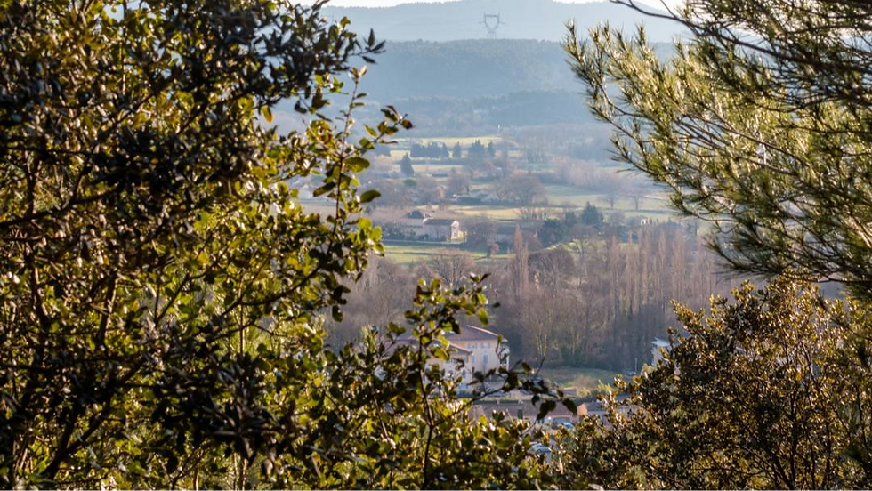 Vue d’une vallée rurale entre des arbres, avec collines brumeuses, champs verts et quelques maisons.