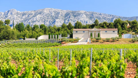 Vignoble verdoyant devant une villa crème, avec montagnes rocheuses en arrière-plan sous un ciel bleu.