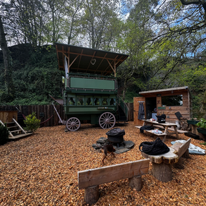 Bluebell Quarry, the Dog, and the Quiet: A Dog-Friendly Glamping & Wellness Retreat in the UK