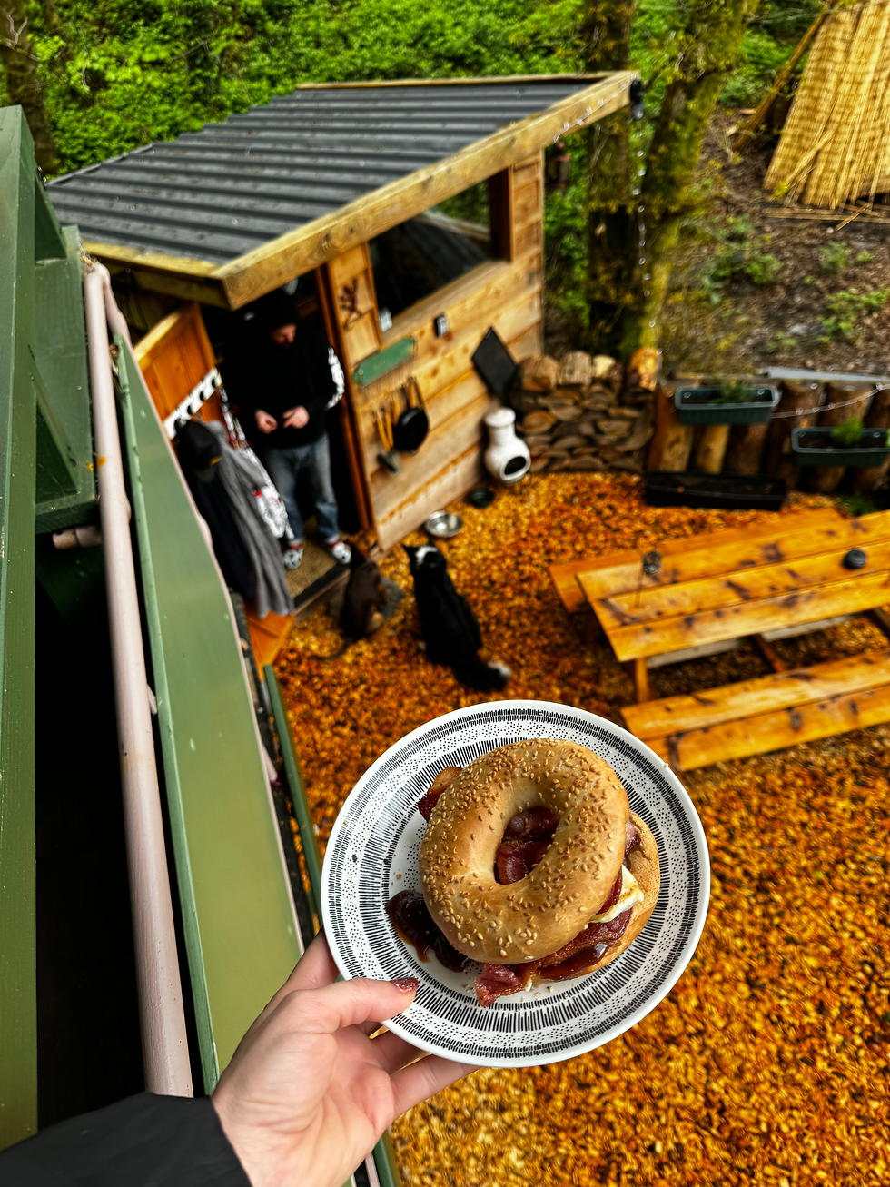 dog-friendly glamping UK