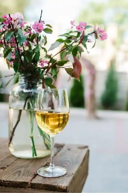 growing-fruit-and-vegetable-garden-pairing-with-wine.webp