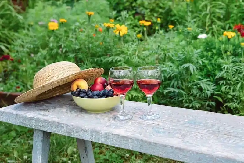easy-gardening-tips-for-growing-a-wine-garden.webp