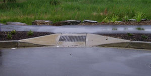 Curb Cuts
