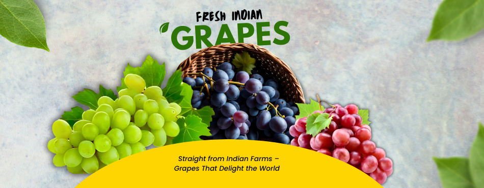 FRESH INDIAN GRAPES