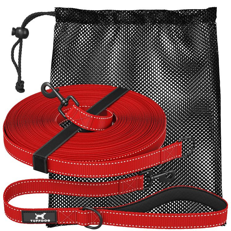 red dog leash 3d render