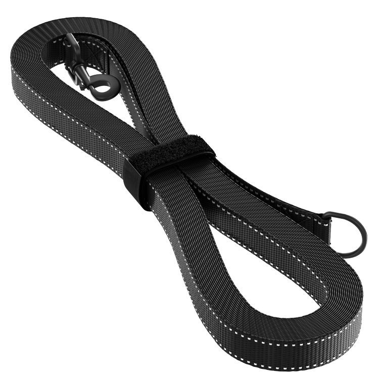 dog leash 3d render