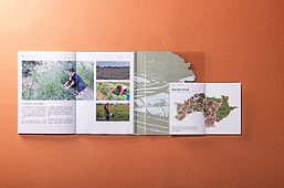 20260313-052.jpg