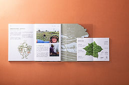 20260313-067.jpg