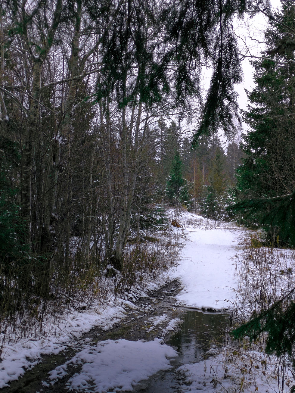 Blandad terräng på vägen till kyrkan!