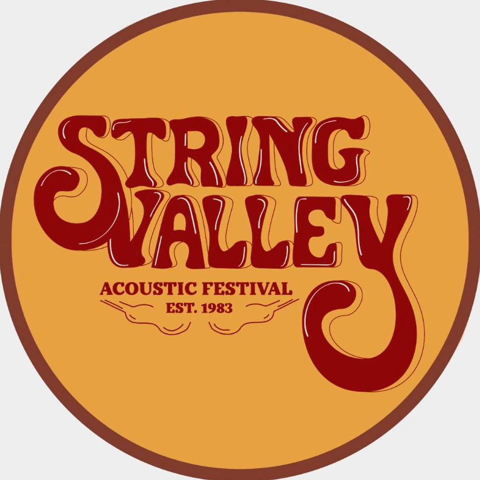 Dobro with Hillbilly Skank String Valley Festival