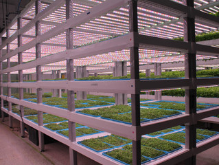 Wilmington's Second Chances Farm to Expand to Philly As Officials Tout Project's Success
