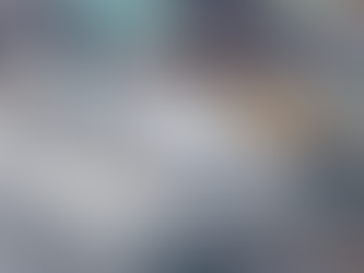 '바다 위 호텔' 국내 입항에... 해묵은 '카지노' 논쟁