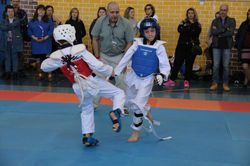 IMG_8241