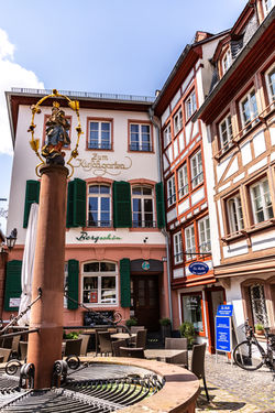 Appartement Kirschgarten in Mainz