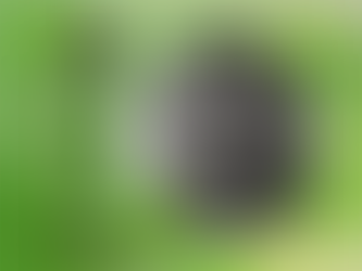 PODCAST - When IT Hits the Fan:  Kelly Winters