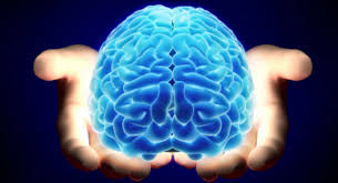 Ga je mee op commerciële brein-reis!