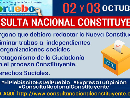 PARTICIPA EN LA CONSULTA NACIONAL CONSTITUYENTE