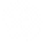 Asset 1_5x.png