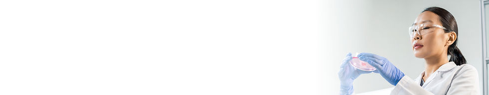 Screenshot 2025-10-02 at 9.11_edited.jpg