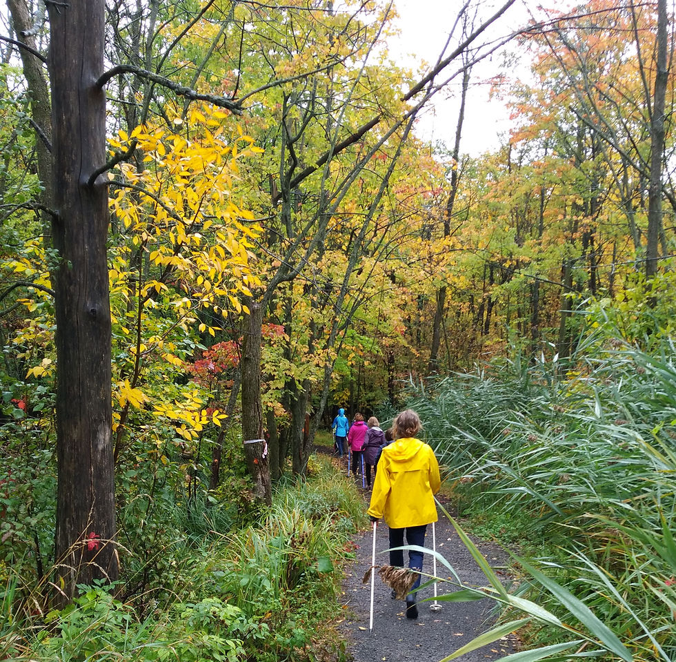 IMG_20200930_marche nordique