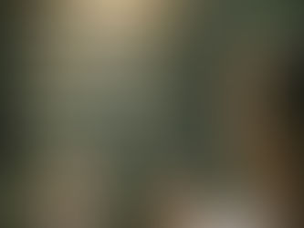 Crescer com intenção num mundo que exige clareza.