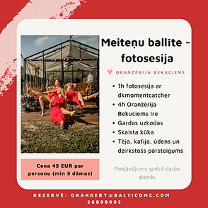 Meiteņu ballīte Instagram Post (2).png