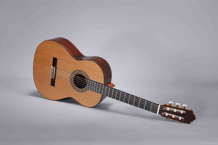 The Guitar Studio | Altamira Guitars