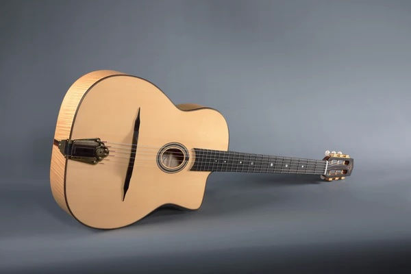 Thumbnail: Altamira Gypsy Jazz M