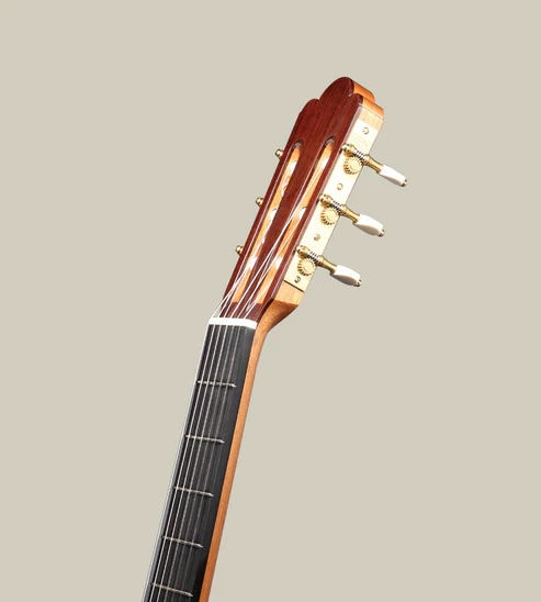 Thumbnail: Altamira 1888 Torres (Indian Rosewood)