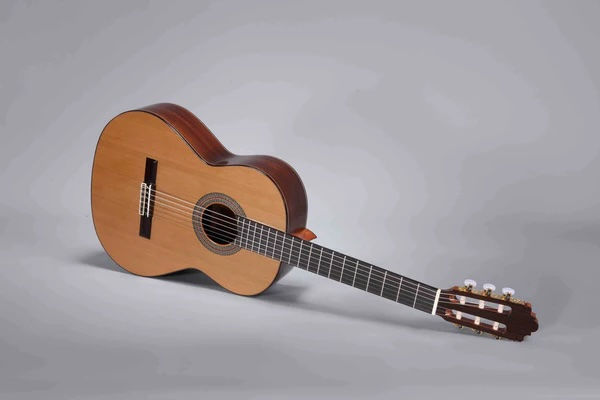 Thumbnail: Altamira N400
