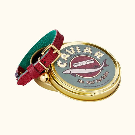 Mauve cat collar and tin case