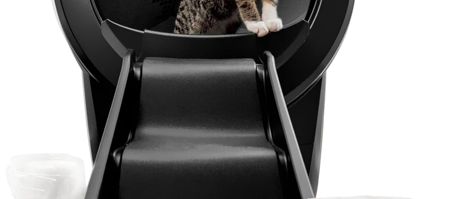 Splurge or Steal: The Best Smart Cat Litter Boxes for Your Budget