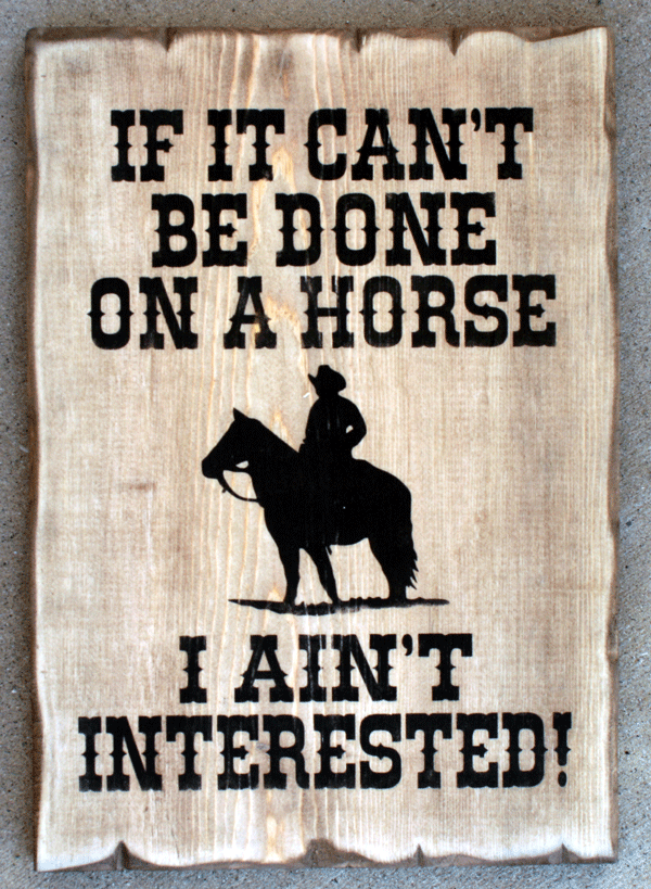 doneonahorse.gif