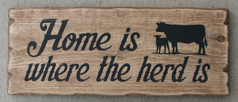 herdcows.gif