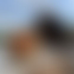 Are Protein Shakes The Best Pre-Workout Fuel?