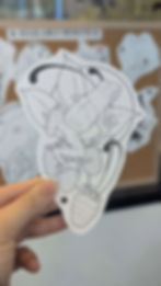 565062605_1143006373942875_6460513525625337259_n