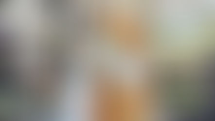 『陰陽師 8.大陰』