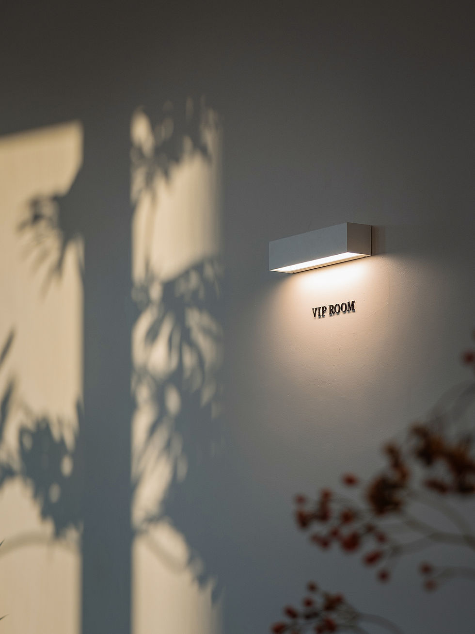 Pink Oyster Mushrooms